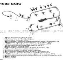10- Engine Harness pour Seadoo 2007 RXT, 2007