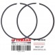 PISTON RING SET (STD)