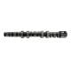 RIVA Camshafts for Seadoo 300