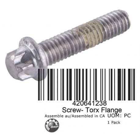 Torx Flanged Screw M6 X 25