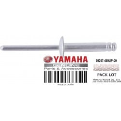 RIVET, BLIND RIVET, BLIND