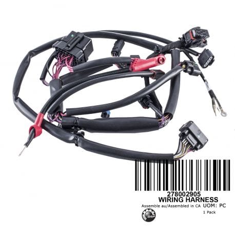 Main Harness. Model with Intelligent Brake And Reverse (iBR)