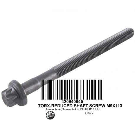 Flanged Torx Screw M9 X 113