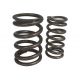 RIVA Titanium Springs + Cups Kit for Seadoo 260/300