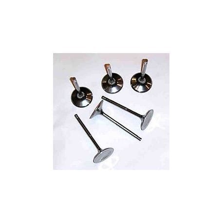 EASY RIDER Titanium Intake Valves Kit for 4-stroke Seadoo