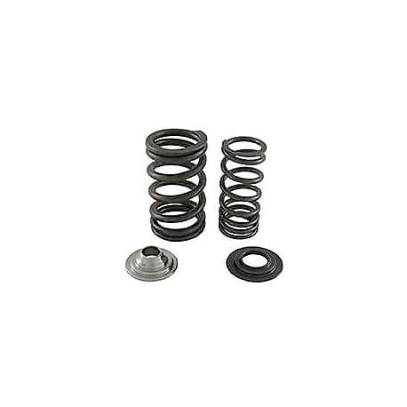 RIVA Spring & Cup Kit for 1500