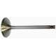 WSM intake and exhaust valves