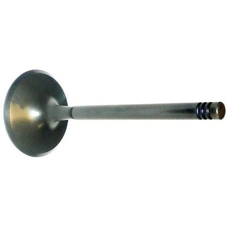 WSM intake and exhaust valves