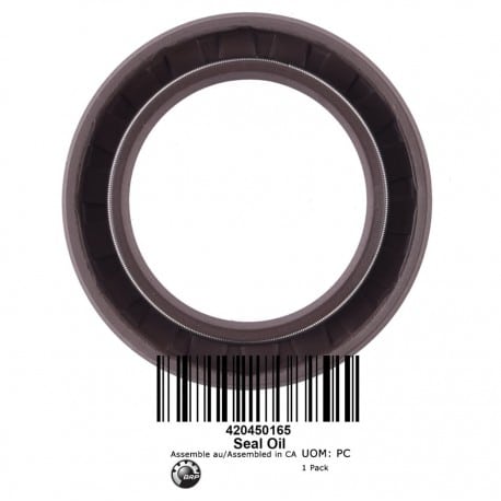 Oil Seal