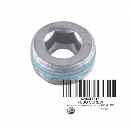 CLOSING SCREW * PLUG SCREW