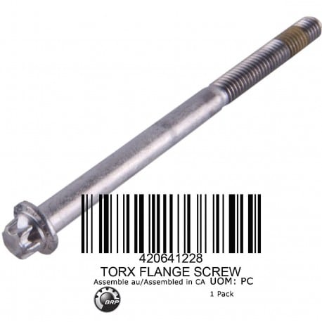 Torx Flanged Screw M6 X 85