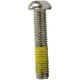 Torx-Button M S M8 X 40 Stlss S.Gri