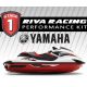 Riva stage 1 kit for FZR/FZS SVHO (14-16)