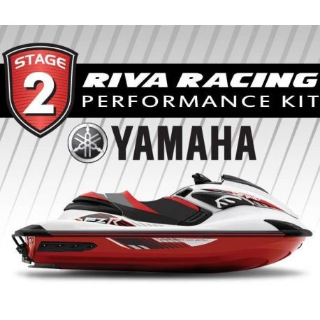 Kit Riva stage 2 pour FZR/FZS SVHO (14-16)