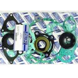 Complete gasket kit for Polaris jet Complete gasket kit for Polaris jet