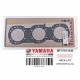 GASKET, CYLINDER HEAD 1