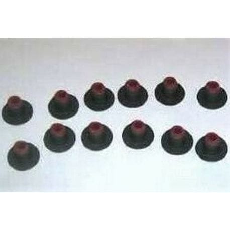 EASY RIDER valve seal kit