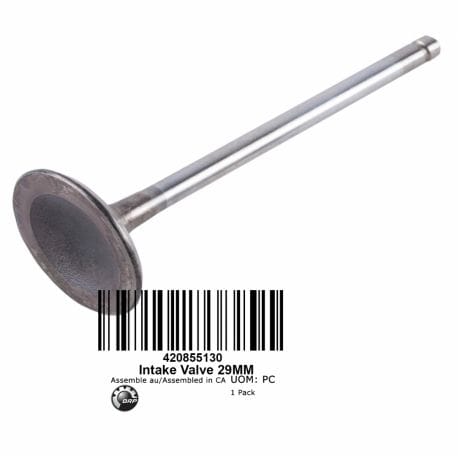 Intake Valve, 29 mm