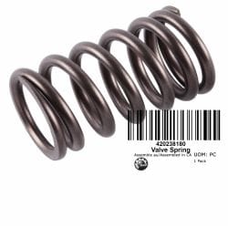 RESSORT SOUPAPE*VALVE SPRING