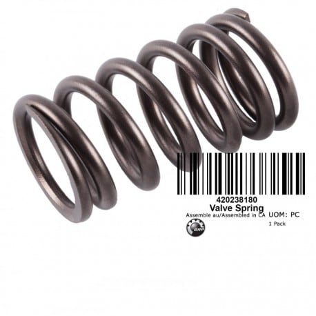 VALVE SPRING*VALVE SPRING INSIDE