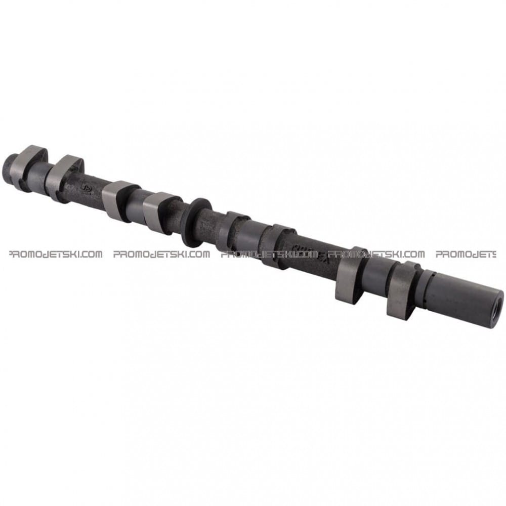 EXHAUST 491183706 Promojetski