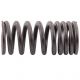 Valve spring for jet ski