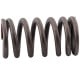Valve spring for jet ski