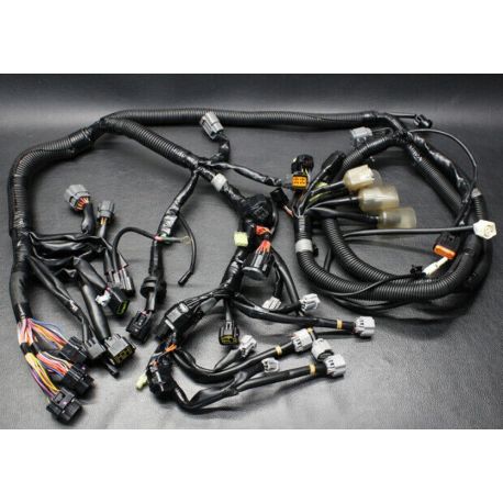 WIRE HARNESS ASSY 1