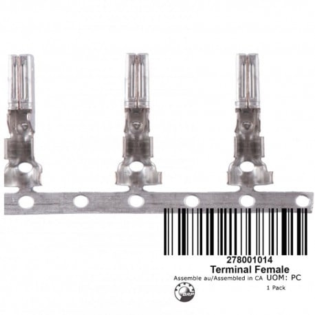 COSSE FEMELLE  *TERMINAL-FEMAL