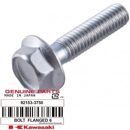 BOLT,FLANGED,6X25