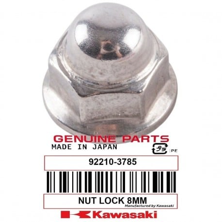 NUT,CAP,6MM