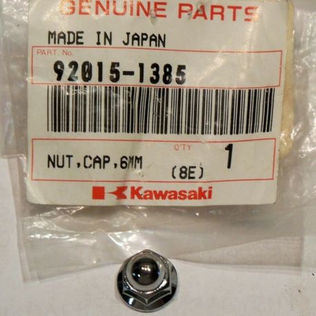 NUT,CAP,6MM