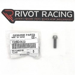 BOLT-FLANGED-SMALL, 6X20 BOLT-FLANGED-SMALL, 6X20