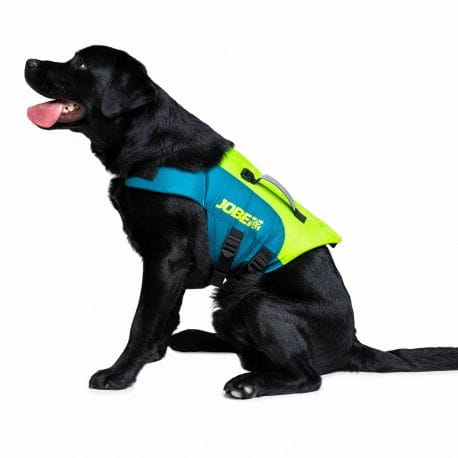 Gilet JOBE Citron Vert pour chien