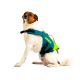 Gilet JOBE Citron Vert pour chien