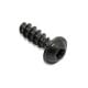 250000735 TORX SCREW K40 X 16