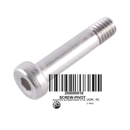 BOULON DE PIVOT, SCREW-PIVOT, 250000018