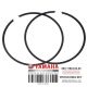 PISTON RING SET (STD)