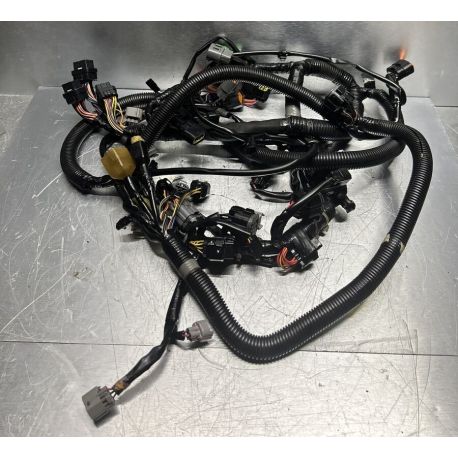 WIRE HARNESS ASSY 1