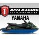 Riva stage 1 kit for Yamaha VX TR-1 (20+)