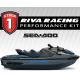 Kit RIVA stage 1 pour GTX/GTX Ltd 300 (24+)