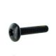 Screw-Plastite Torx M6.81X30. Package LTD
