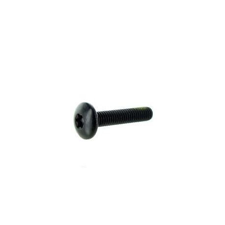 Screw-Plastite Torx M6.81X30. Package LTD