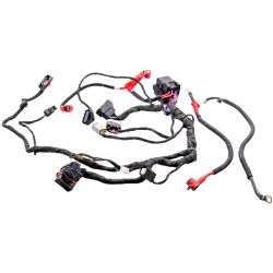 Main Harness Main Harness