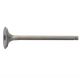 Exhaust Valve, 25mm
