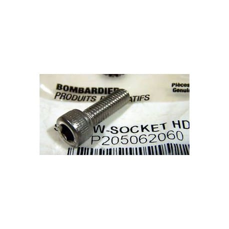 SCREW-SOCKET HD.DIN.912A2 205062060