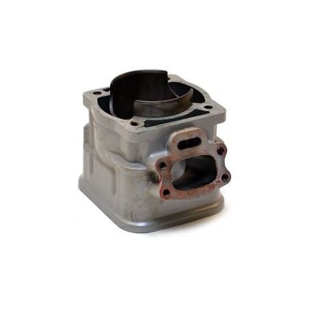 CYLINDRE REFAIT*CYL-RESLEEVING 717 421000056