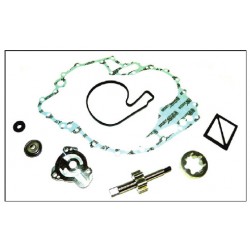Seadoo 4T Primary Oil Pump Kit (02-19) Seadoo 4T Primary Oil Pump Kit (02-19)