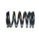 Valve spring