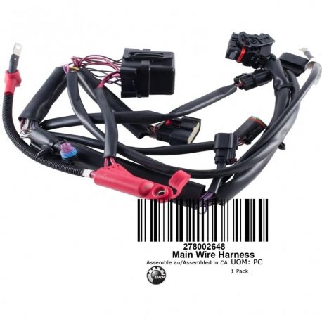 Main Harness